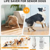 Anti-Slip Knitted Dog Socks with Adjustable Straps (4-Pack)