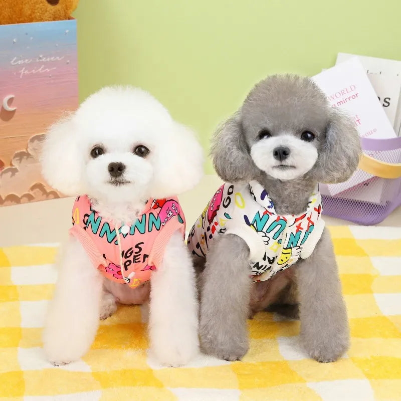 Two fluffy white and gray dogs wearing colorful waterproof winter coats sitting on a yellow checkered surface.