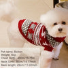 A white dog wearing a festive red and gray knit sweater for pet clothing.