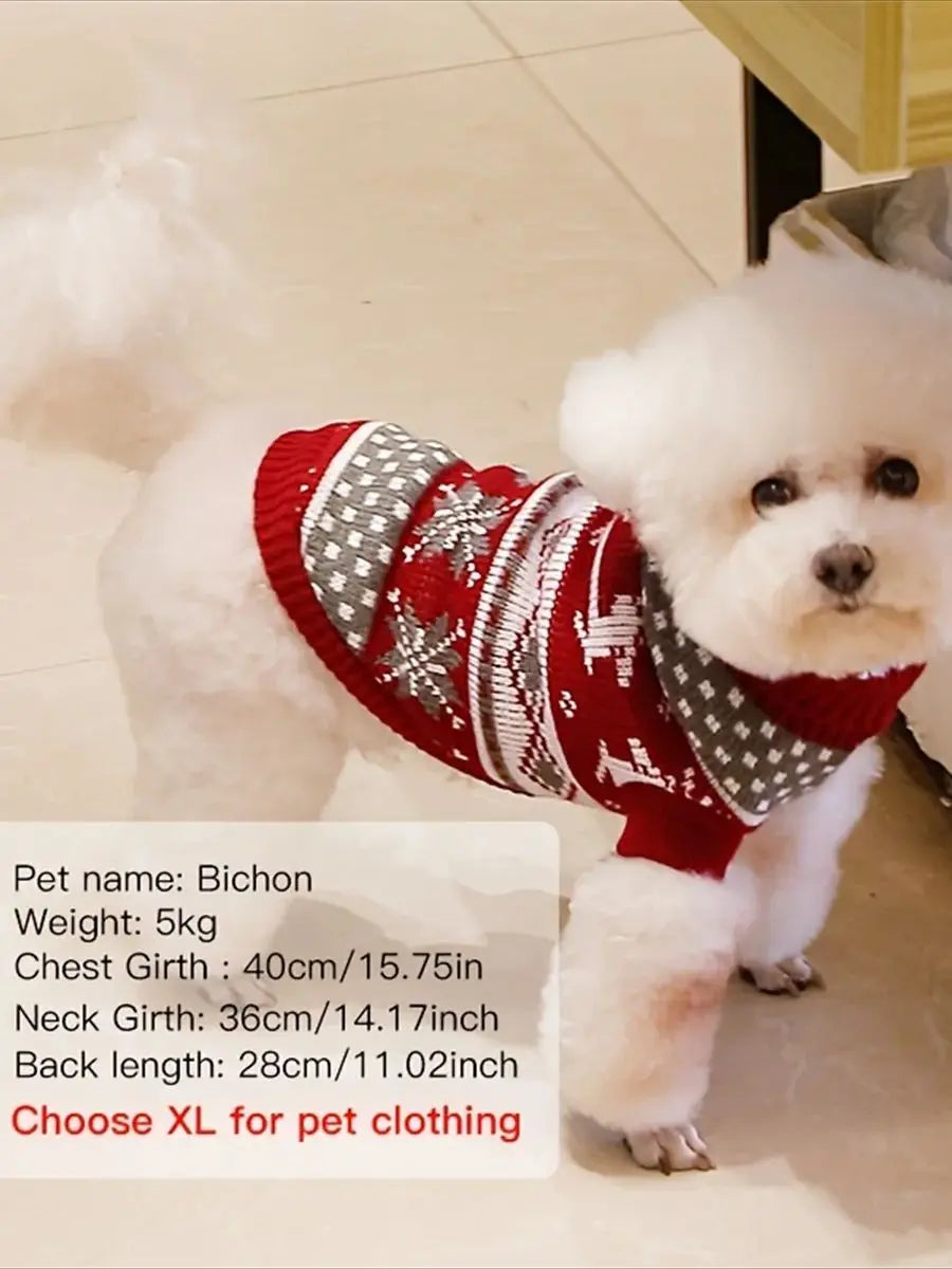 A white dog wearing a festive red and gray knit sweater for pet clothing.
