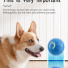 Interaktiver smarter Hundespielball