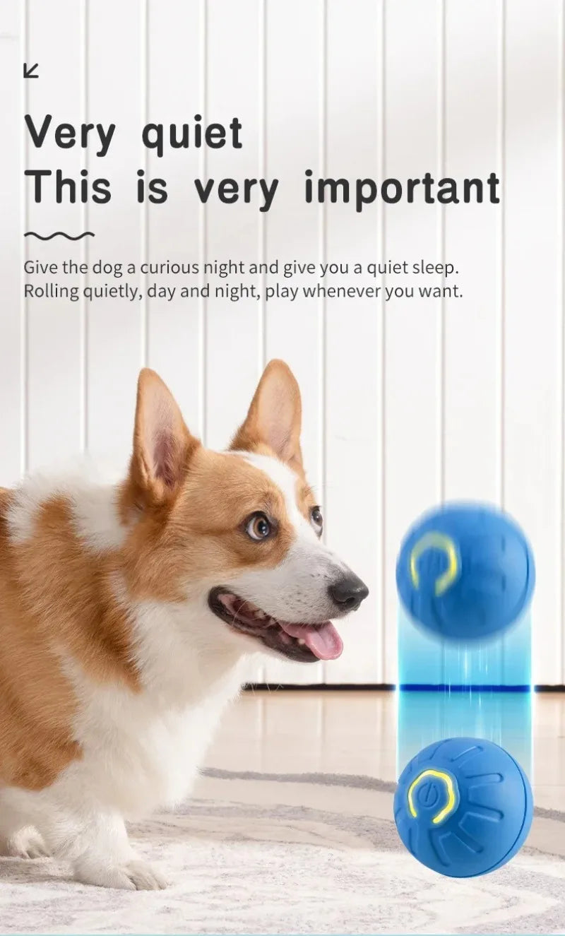 Interaktiver smarter Hundespielball