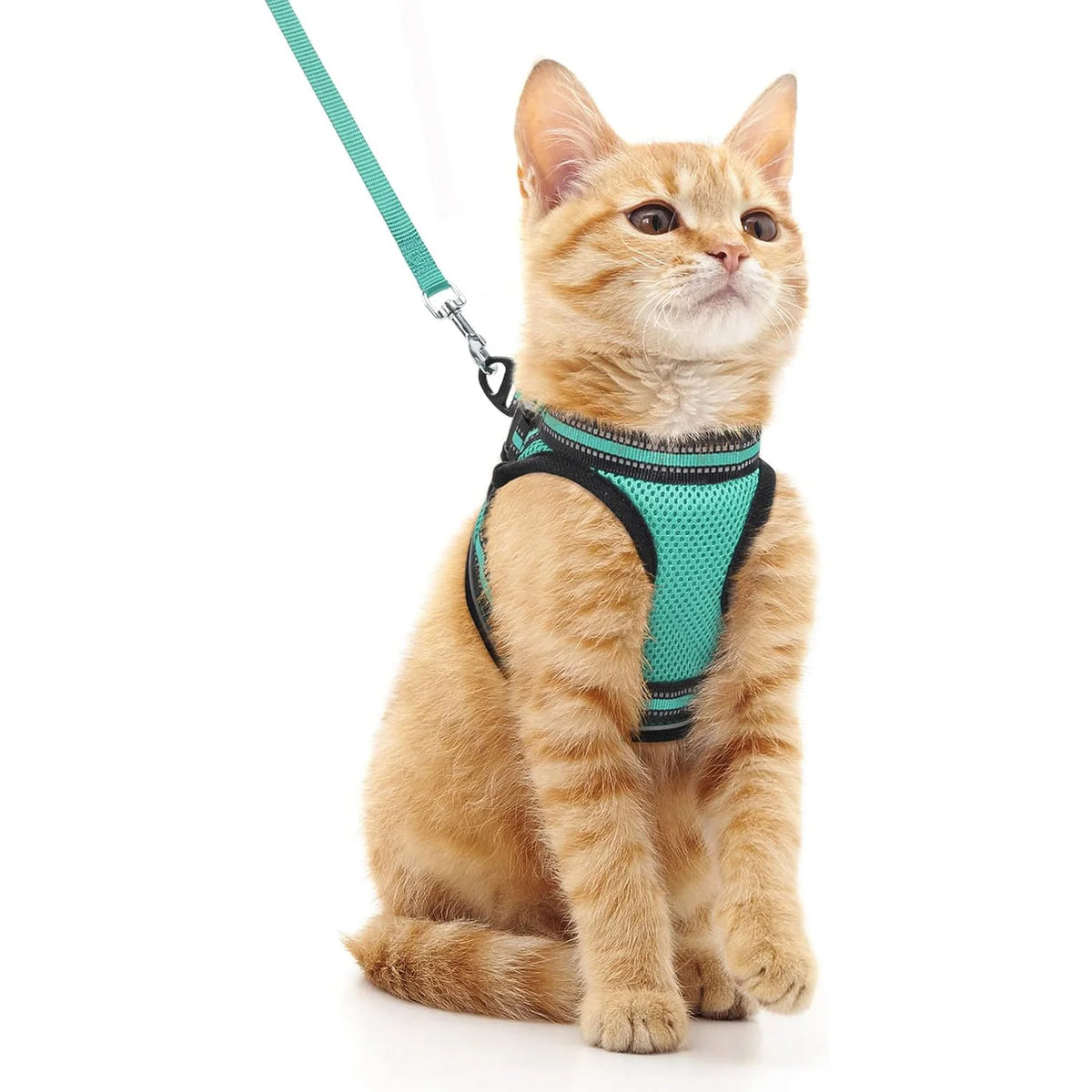 Escape-Proof Cat Harness and Leash Set with Reflective Strips