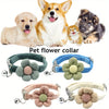 Verstellbares Karo-Hundehalsband