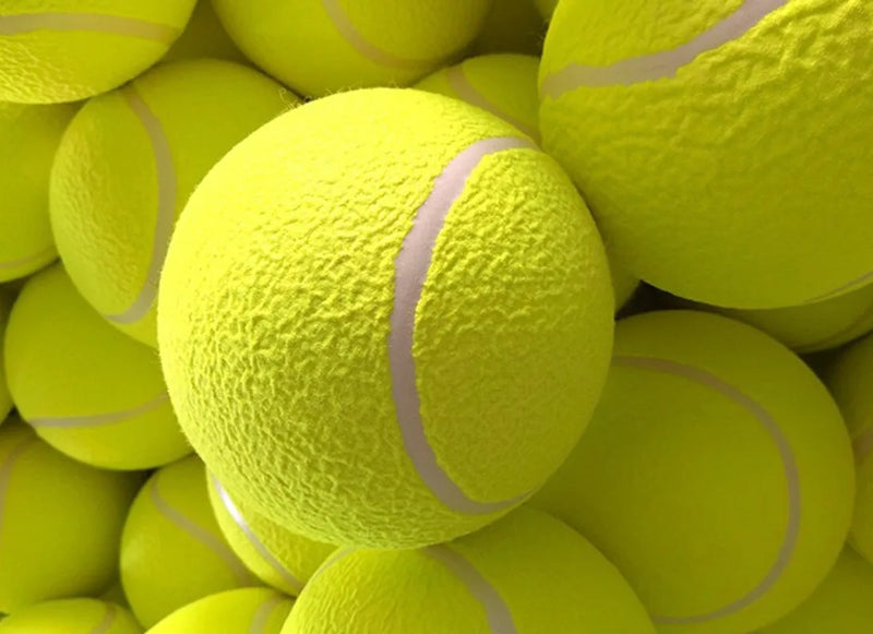 Giant 24cm Inflatable Tennis Ball Dog Toy with Pump