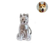 Pet Hair Keepsake Keychain with Transparent Capsule