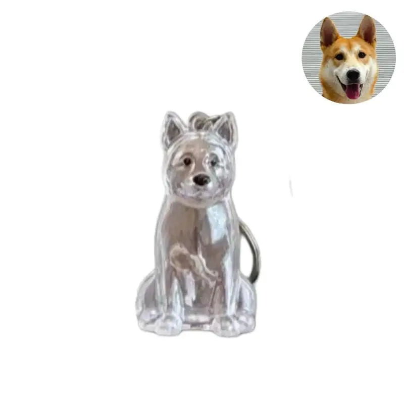 Pet Hair Keepsake Keychain with Transparent Capsule