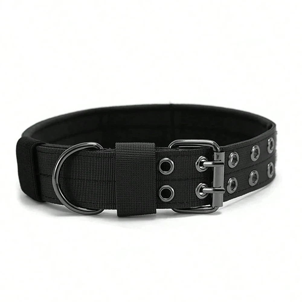 Heavy-Duty Nylon Dog Collar with Padded Lining and Metal Buckle