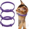 Collar natural morado para mascotas, calmante contra la ansiedad, junto a un gatito atigrado pequeño