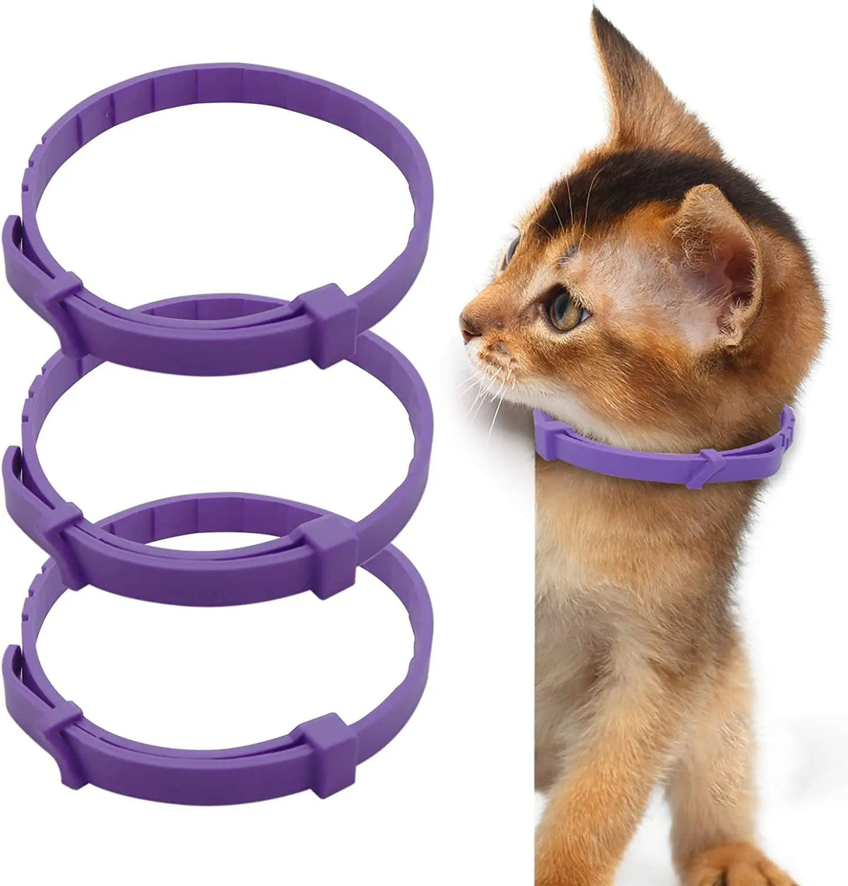 Collar natural morado para mascotas, calmante contra la ansiedad, junto a un gatito atigrado pequeño