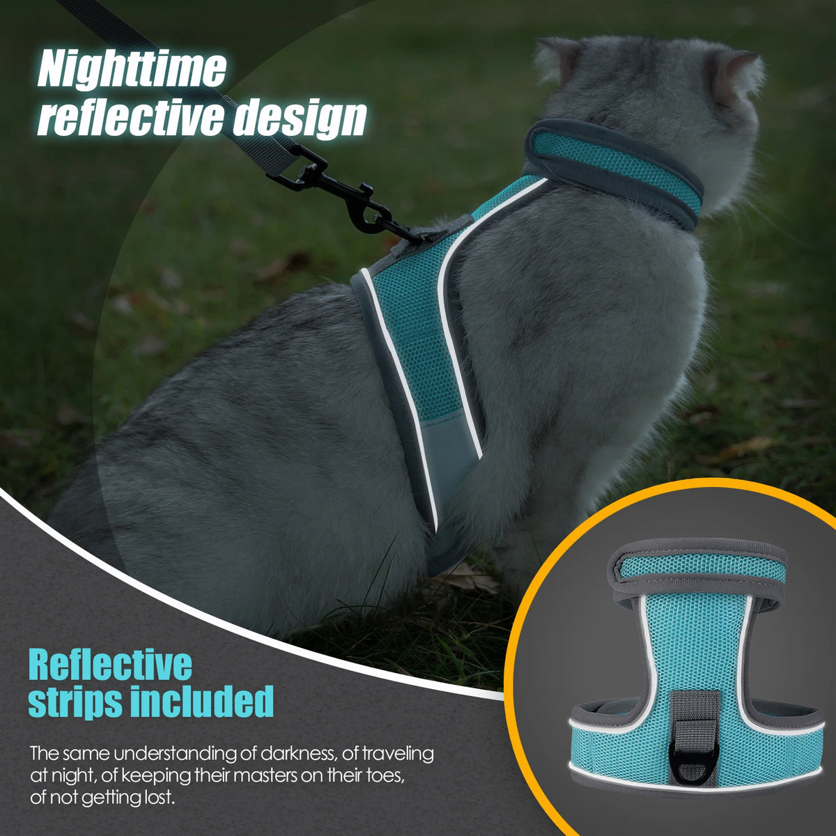 A gray cat wearing a reflective harness during nighttime activity.