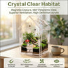 Klares Acrylterrarium mit magnetischem Verschluss, das eine natürliche Umgebung für Insekten und Pflanzen zeigt.