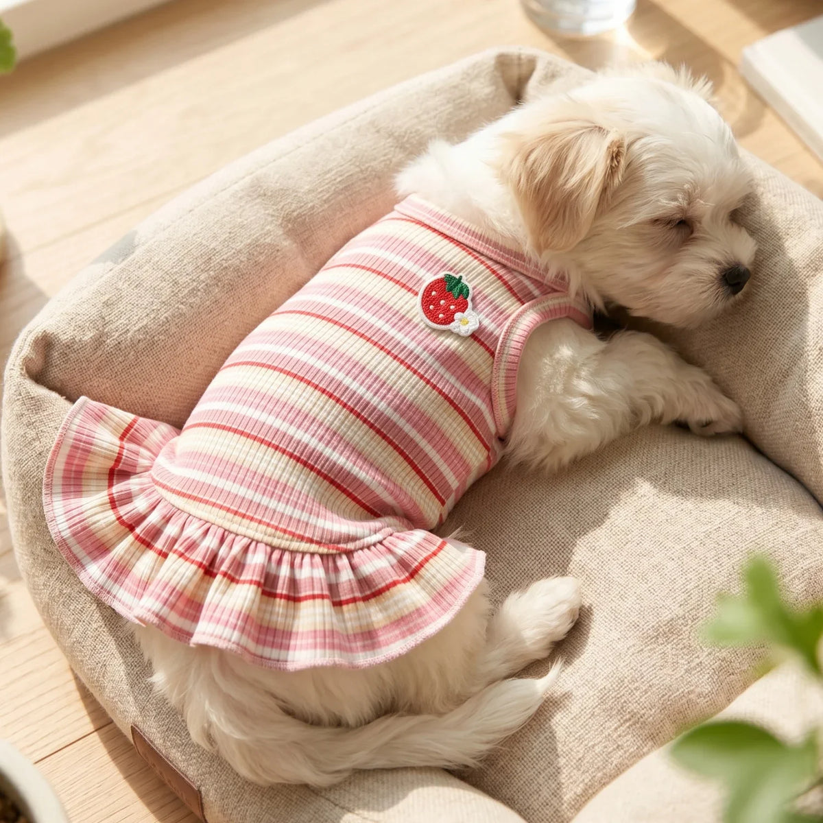 Sweet Strawberry Print Princess Dress for Small Dogs & Cats