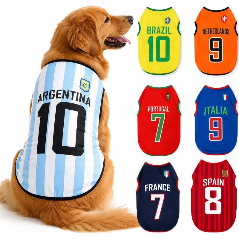Un chien doré portant un maillot de sport avec les numéros et couleurs d'équipes nationales (Argentine 10, Portugal 7, Italie