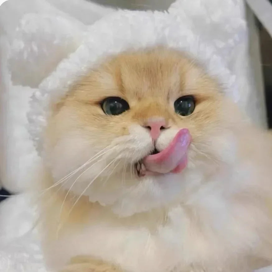 Adorable Knit Bear Hat for Cats and Dogs