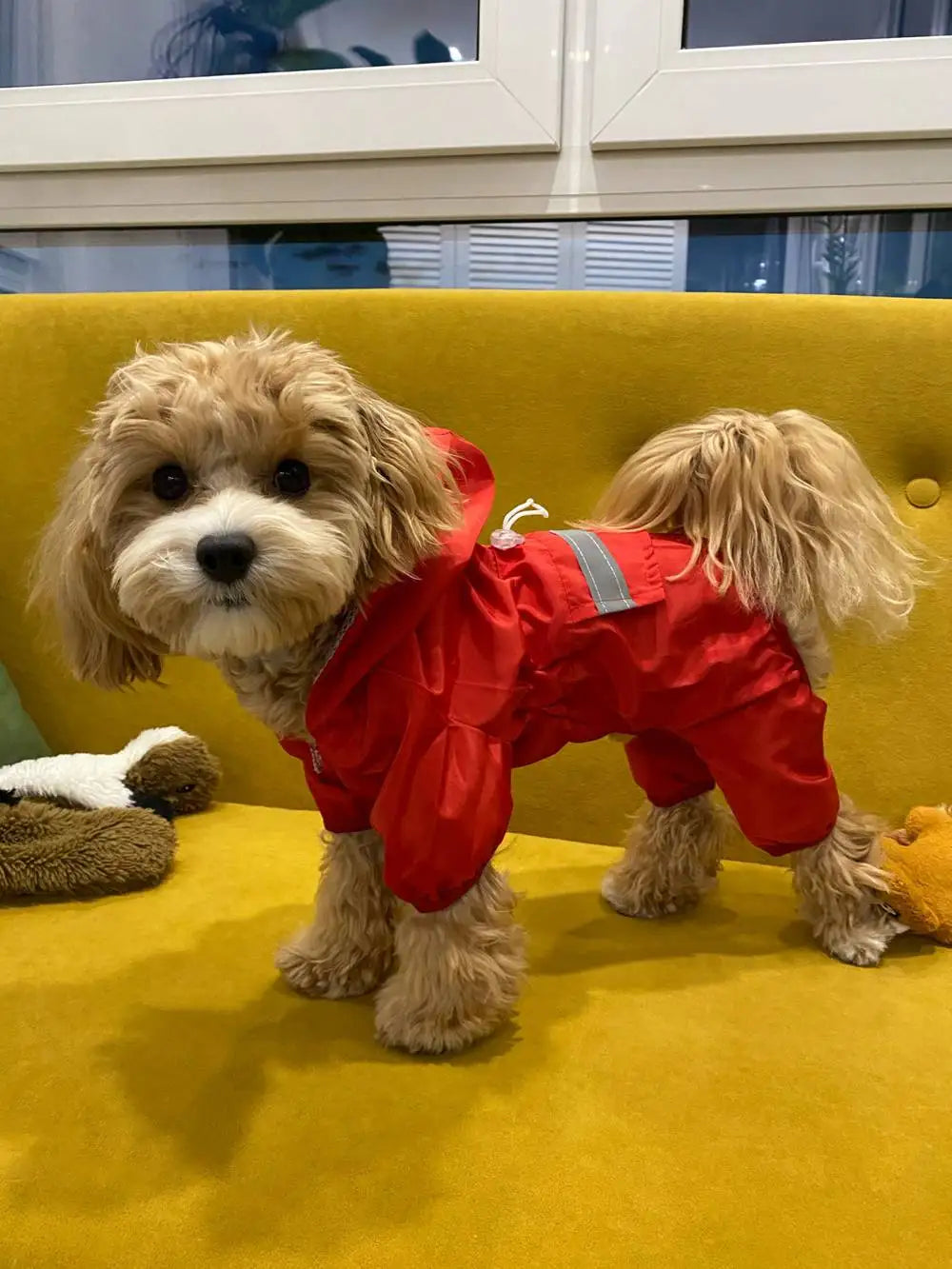 Adjustable Waterproof Dog Raincoat with Reflective Strap