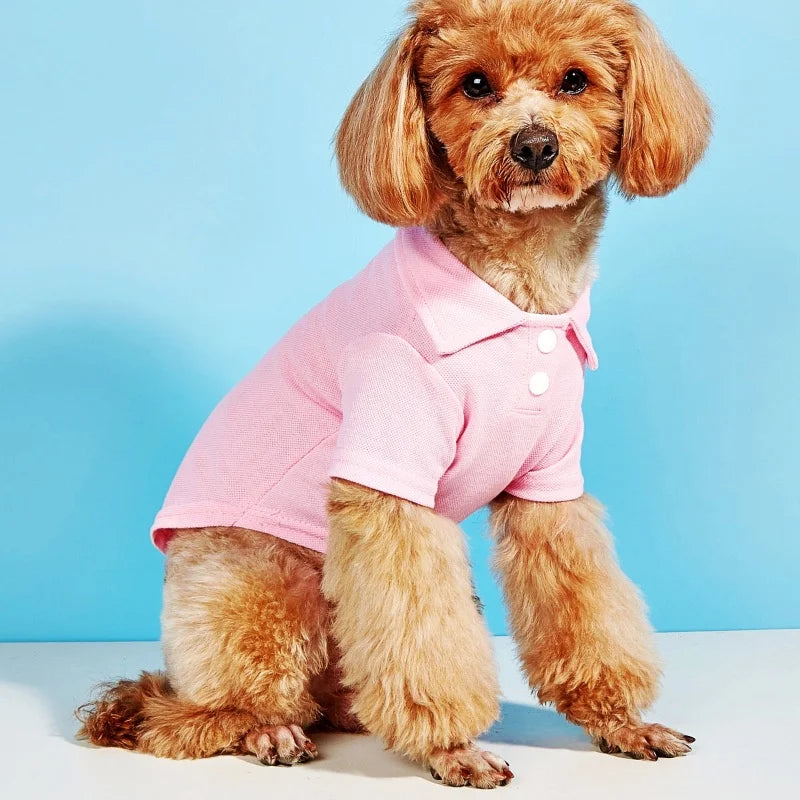 A small, light pink polo shirt for a dog is shown sitting on a white surface.