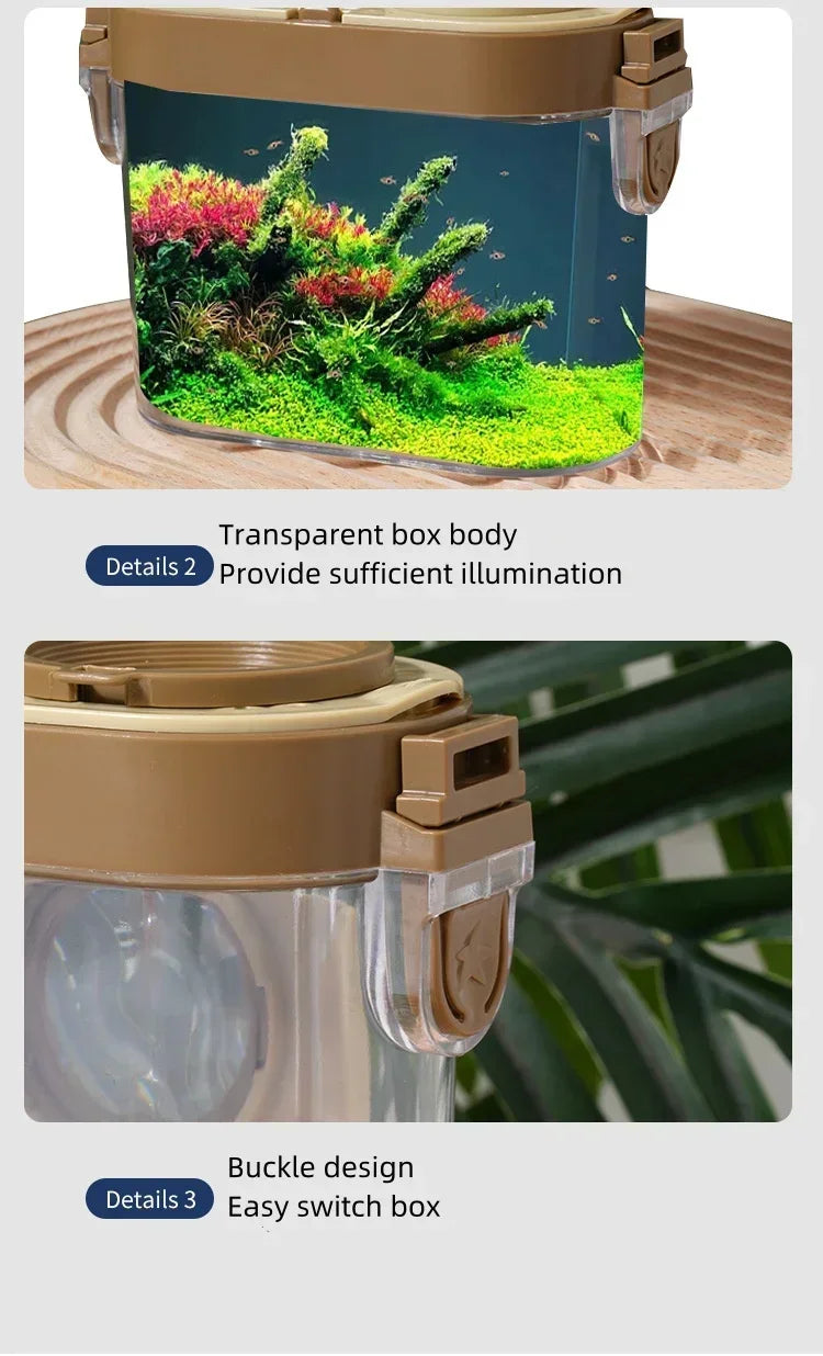 Insect Observation Box Kit with Magnifier for Outdoor Study