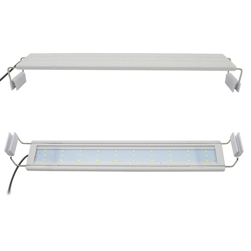 Lampe LED à clipser pour aquarium : poissons et plantes