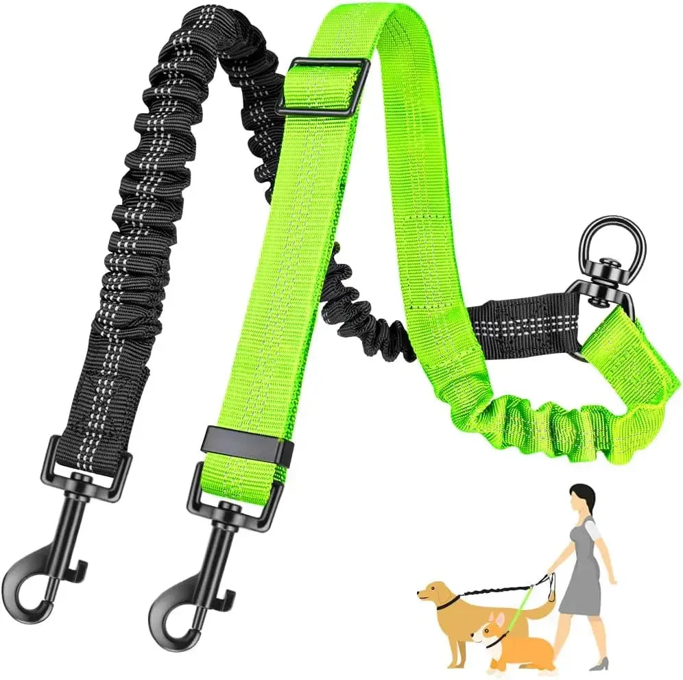 Dual Dog Leash with Shock-Absorbing Bungee (16 ft)