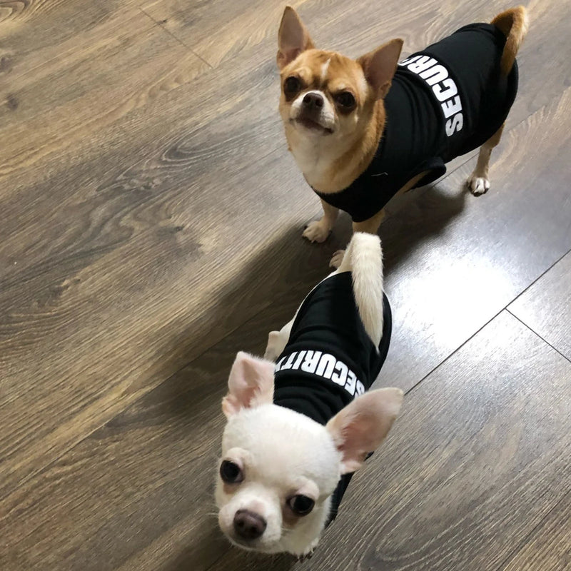 Chaleco de Seguridad para Perros en Verano