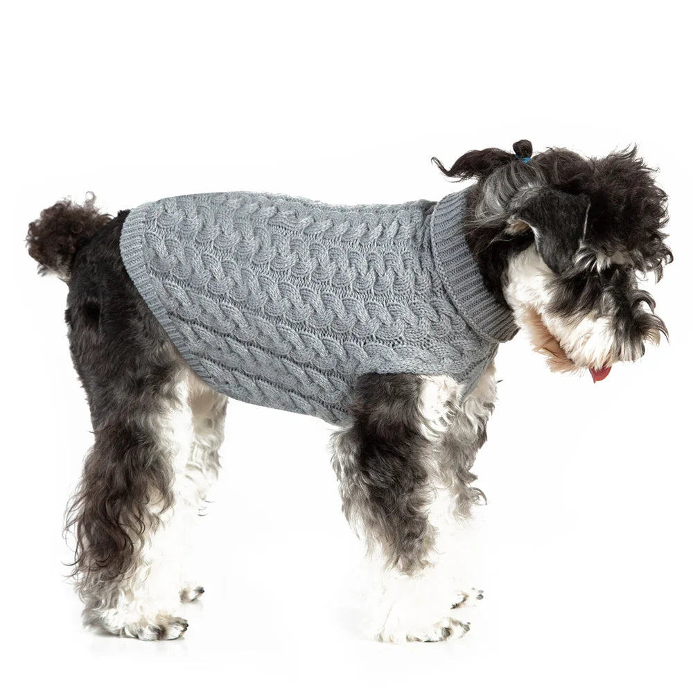 Un pull pour chiot classique et solide porté par un petit chien noir et blanc.