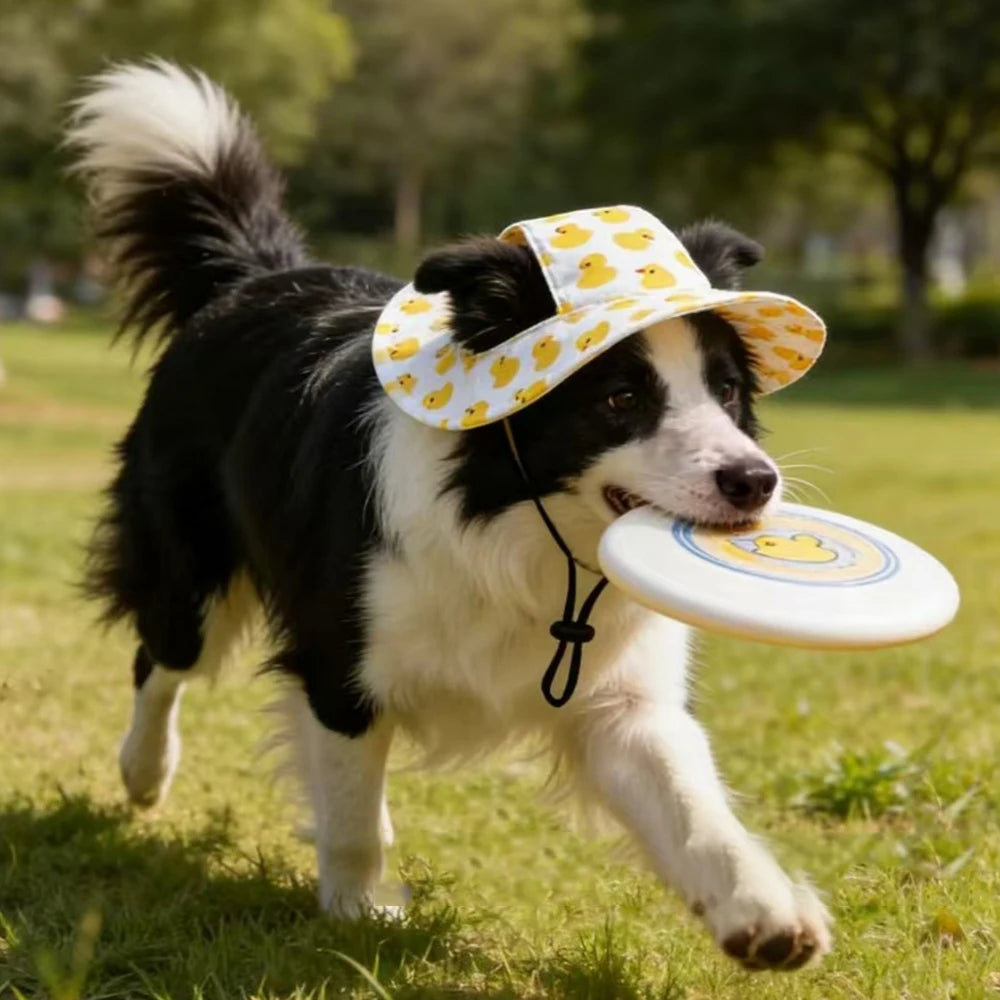 Duck Print Adjustable Pet Hat for Small to Medium Dogs and Cats