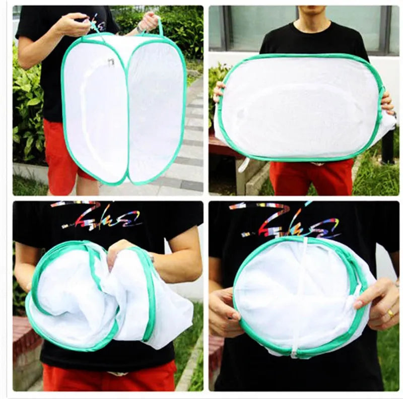 A white collapsible mesh insect breeding cage is shown being held and used in various contexts.