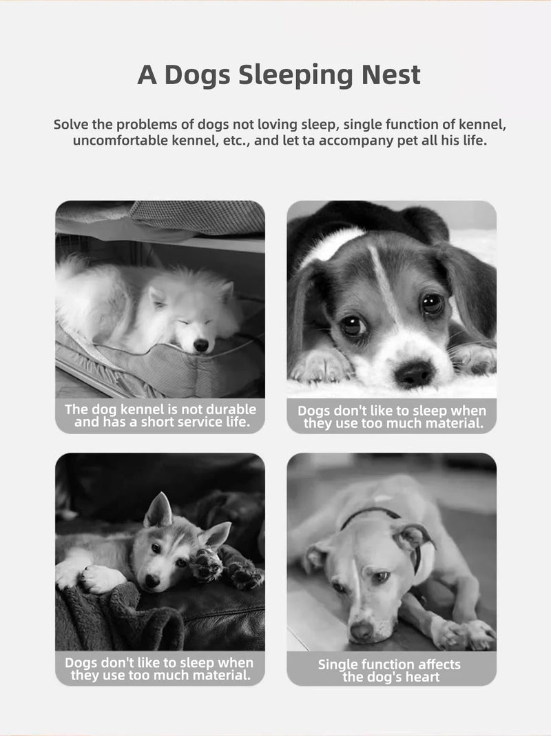 Abri pour chien isolé toutes saisons