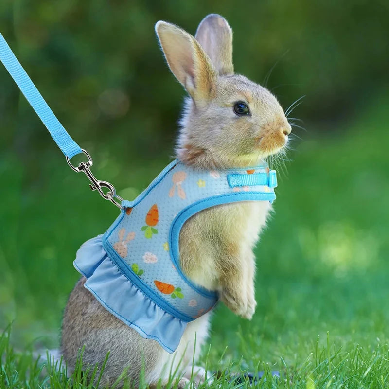 Adjustable Mesh Harness with Leash for Small Pets