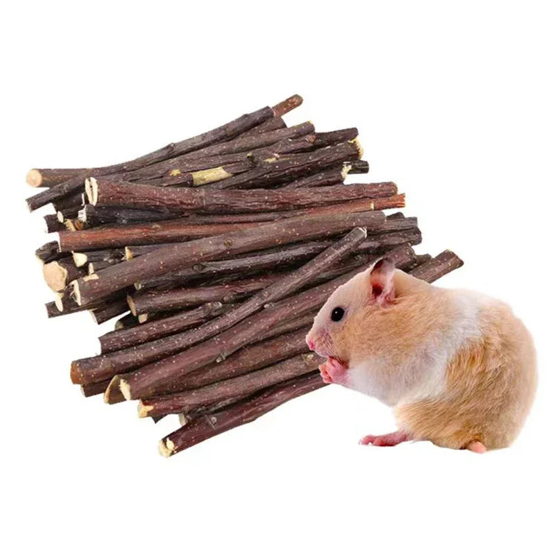 Bâtons de Mâche en Bois de Pommier Naturel pour Petits Animaux
