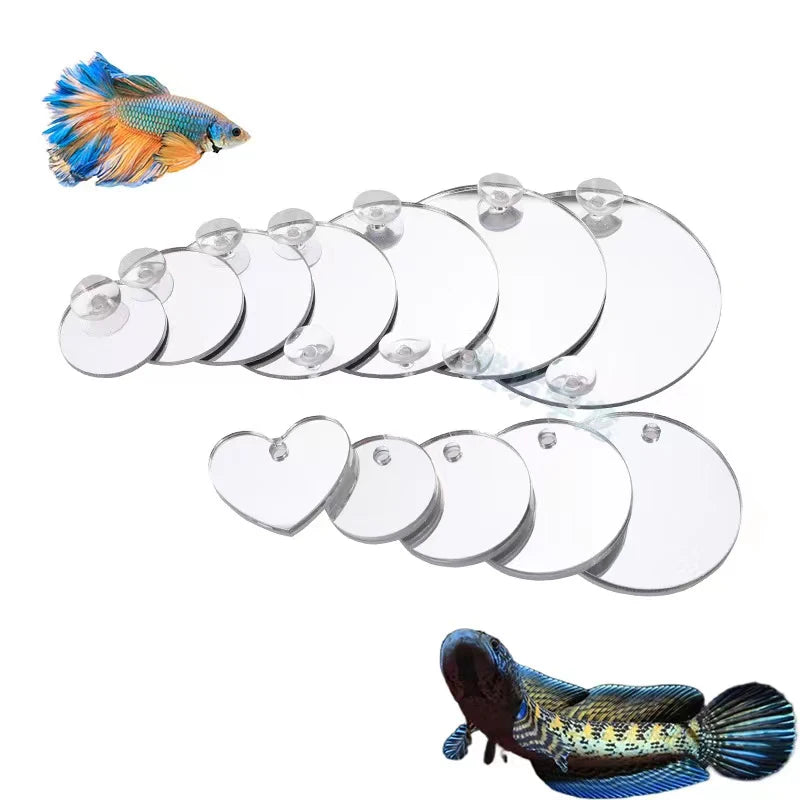 Espejo de Acrílico Flotante para Peces Betta