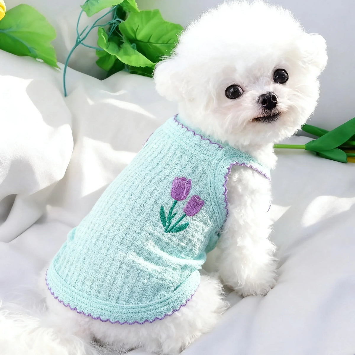Un perro blanco esponjoso vistiendo un collar fino de tirantes azul claro tejido con bordado de flor morada.