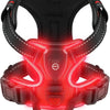 Rechargeable LED Dog Harness with 3 Light Modes for Night Safety
