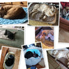 Self-Cooling Pet Mat for Dogs and Cats – Breathable, Washable Summer Pad