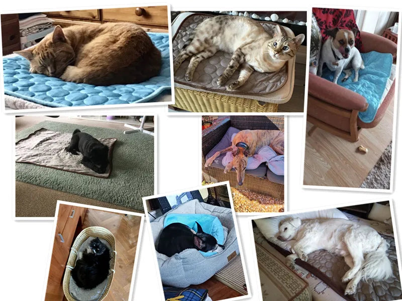 Self-Cooling Pet Mat for Dogs and Cats – Breathable, Washable Summer Pad