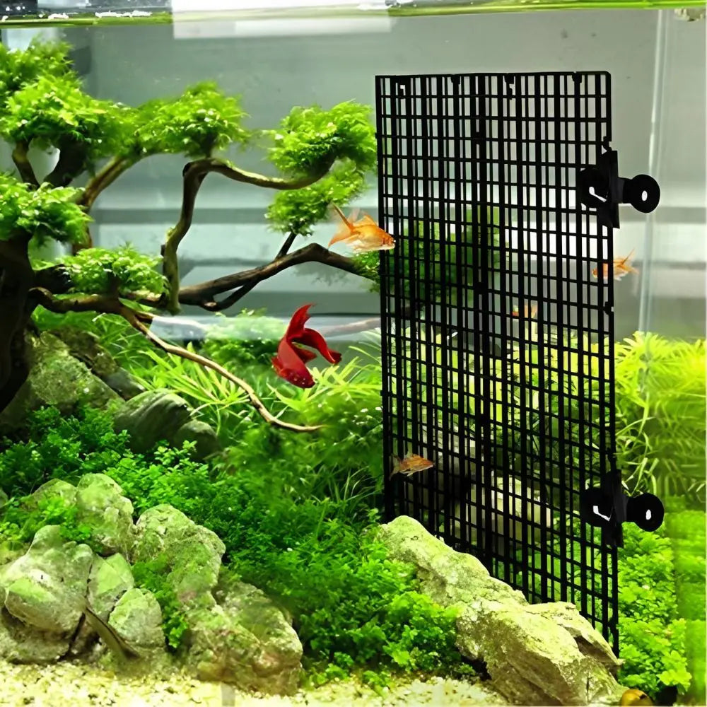 Modular Aquarium Divider Panel Set with Suction Cups