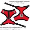 Red pet harness and nylon leash set with a D-ring design for control