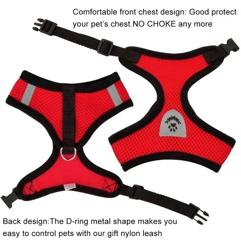 Red pet harness and nylon leash set with a D-ring design for control