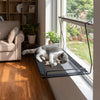 A gray and white cat is relaxing on a black mesh window hammock mounted in a bright room.