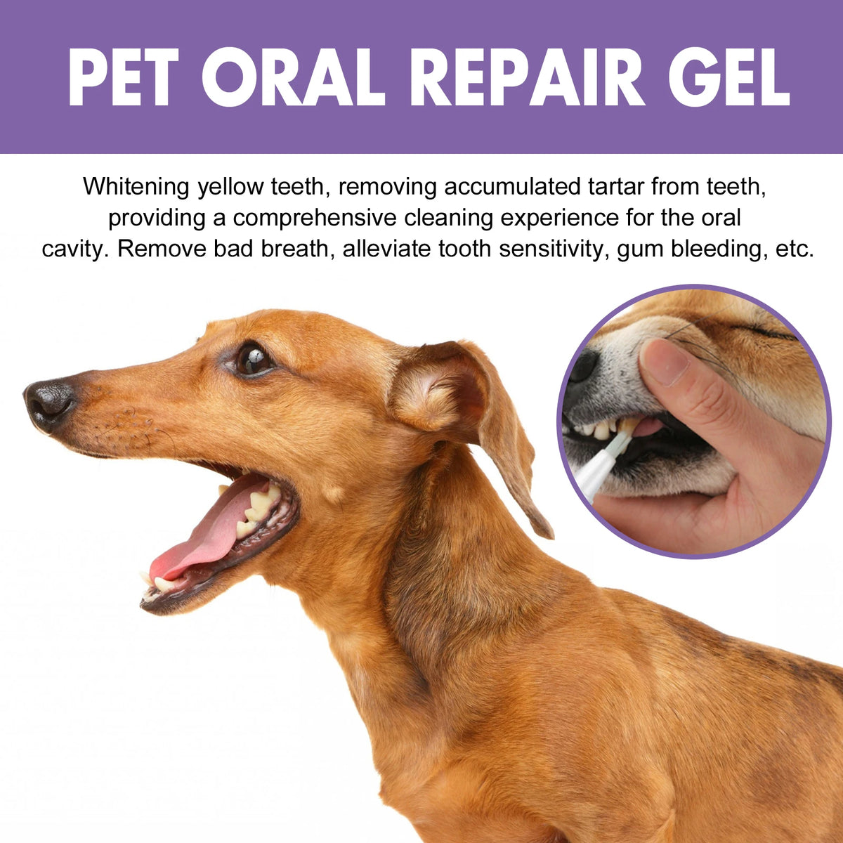 Easy-Apply Oral Care Gel for Dogs & Cats