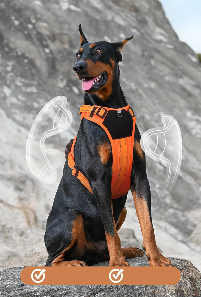 A black and tan dog wearing an orange heavy-duty no-pull harness sitting on a rock.