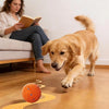 Interactive Automatic Rolling Dog Ball with Motion Activation
