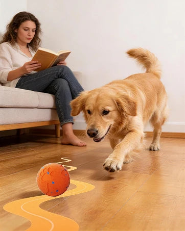 Interactive Automatic Rolling Dog Ball with Motion Activation