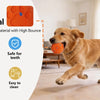 Interactive Automatic Rolling Dog Ball with Motion Activation