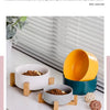 Elevated Ceramic Pet Bowl with Wooden Stand