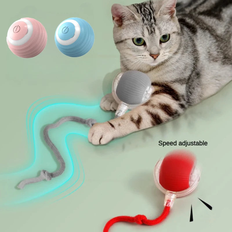 Juguete Interactivo para Gatos con Sonidos de Pájaros