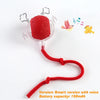 Smart Interactive Dog Ball Toy