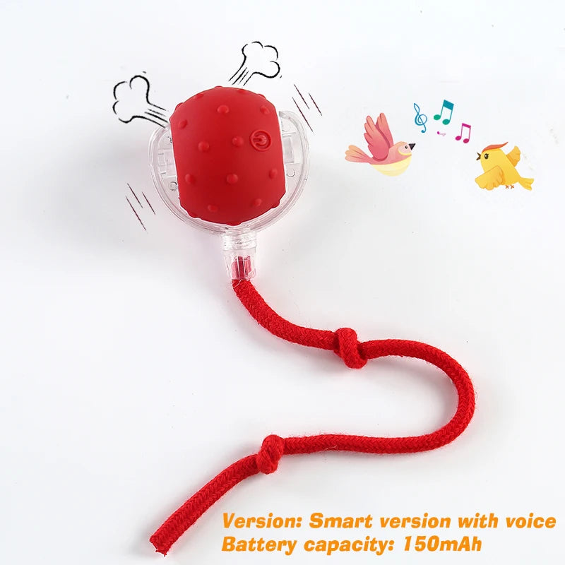 Smart Interactive Dog Ball Toy