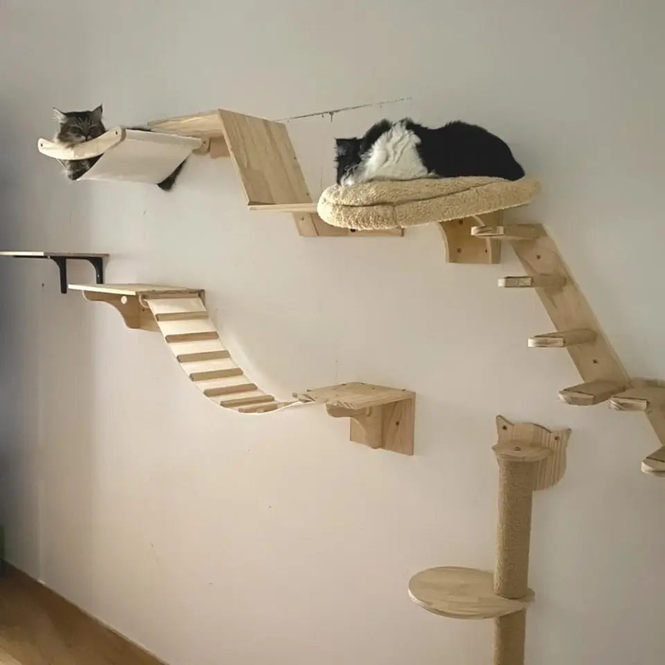 Wall-Mounted Cat Climbing Shelf Set with Hammock and Scratching Posts